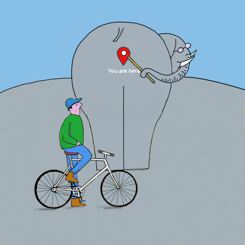 Elephant school #21 static token preview