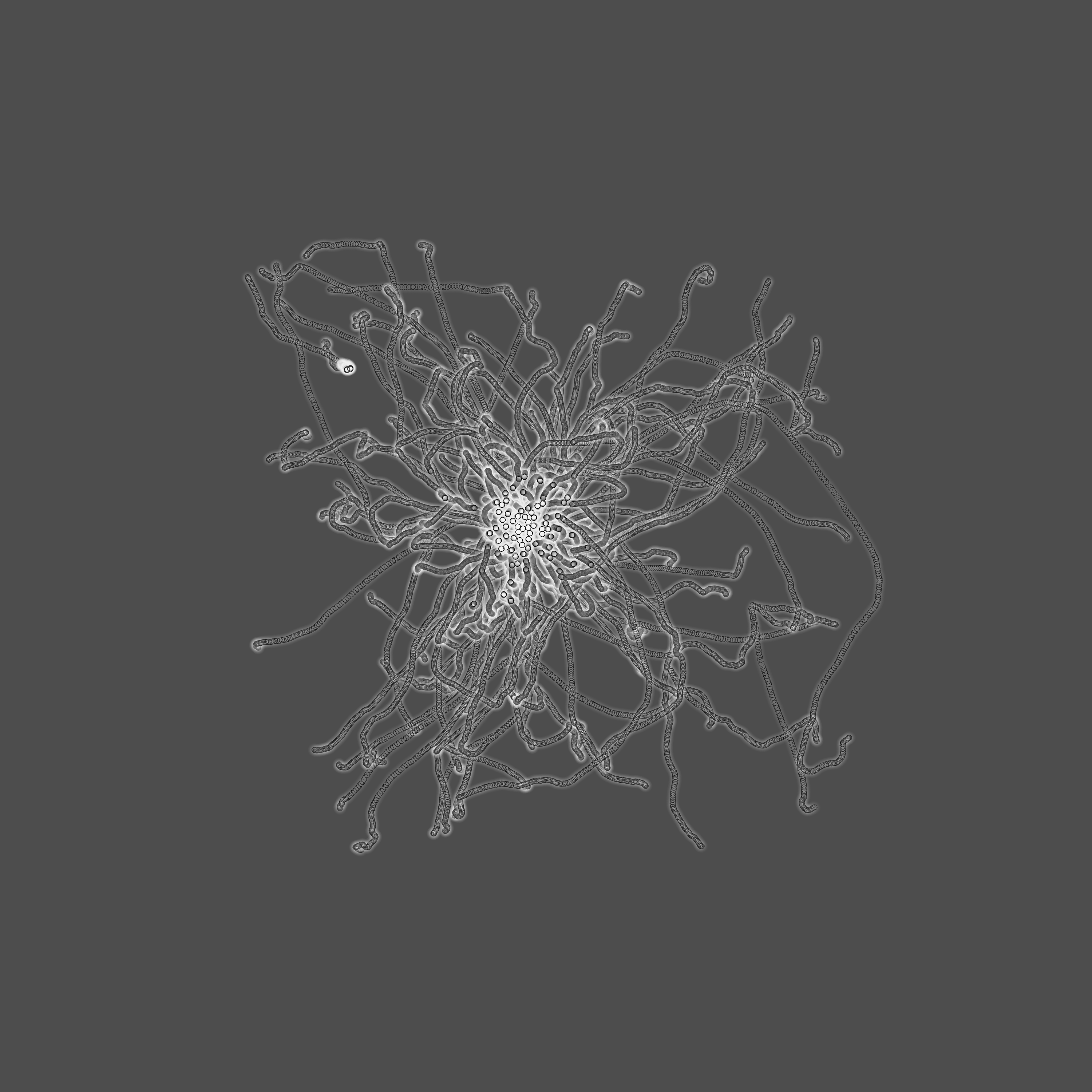 grey fungi wisdom #14 static token preview