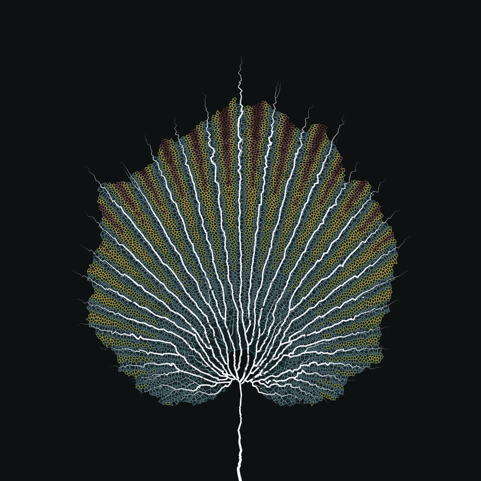 Leaf study #11 static token preview