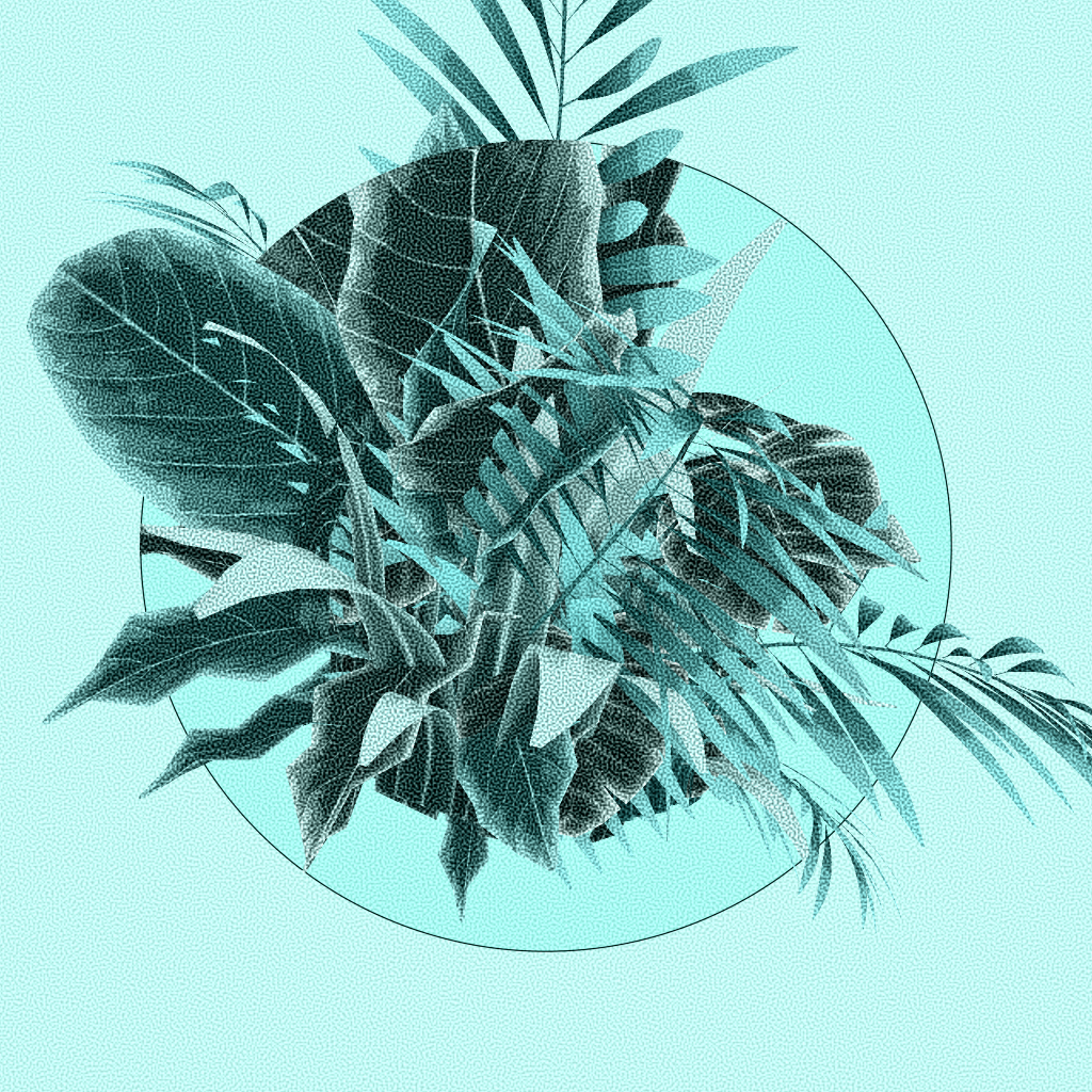 Botany #7 static token preview