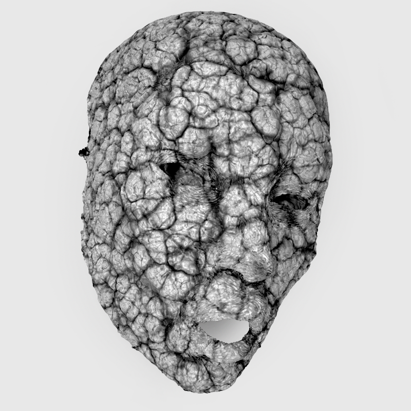 Minima Monochromy Mask #10 static token preview