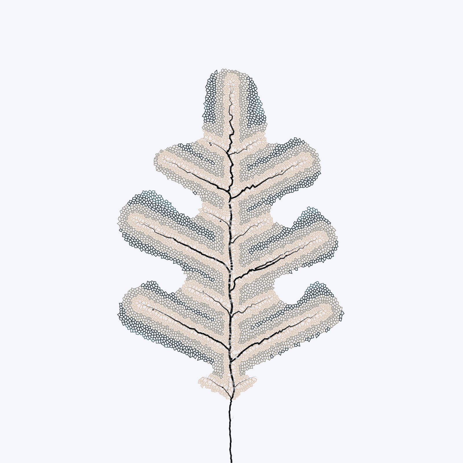 Leaf study #16 static token preview