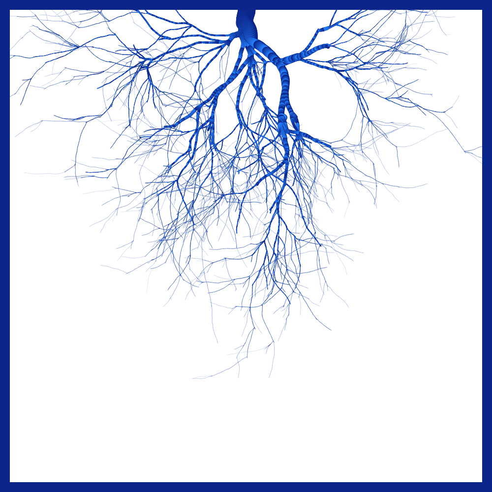 Arbres suspendus #24 static token preview