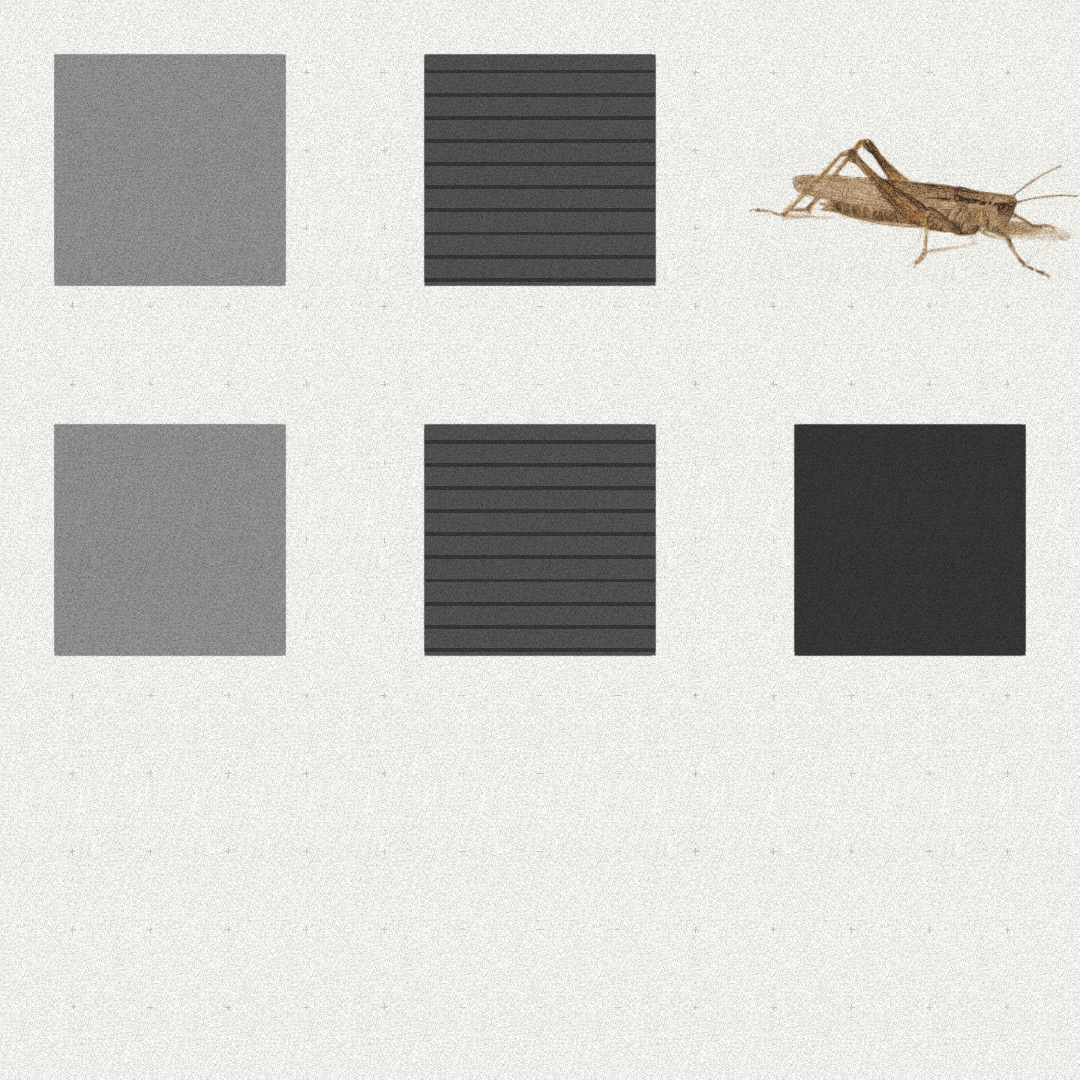 Grasshopper #24 static token preview