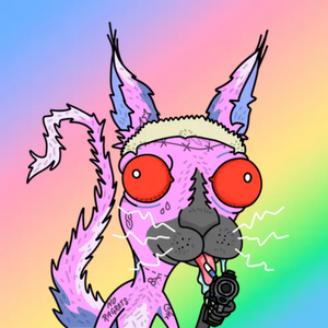 Adderrels project preview
