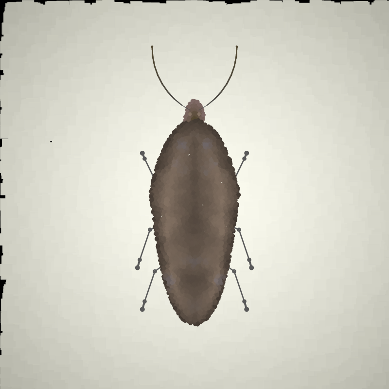 Beetle Sketches #18 static token preview