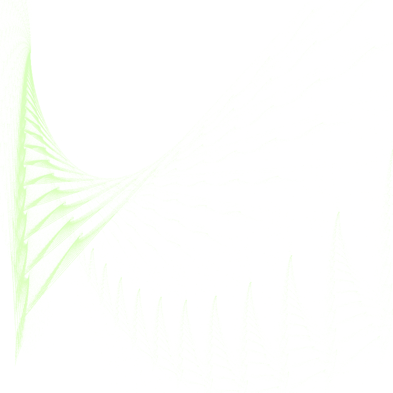 fern #4 static token preview