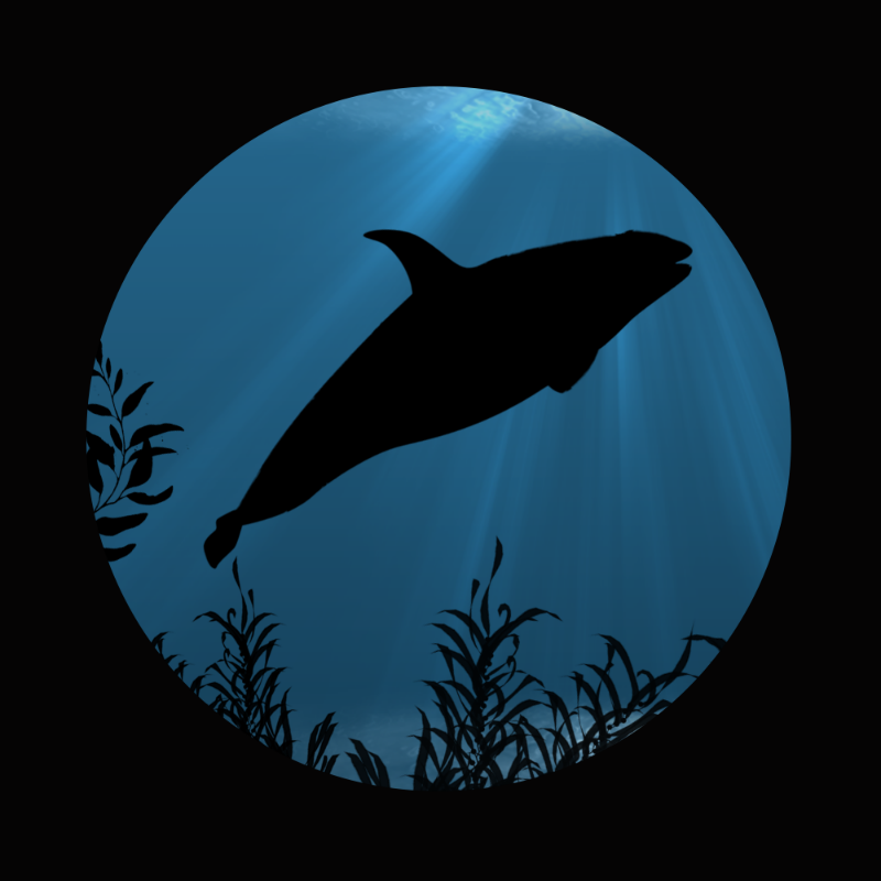 Whale #3 static token preview