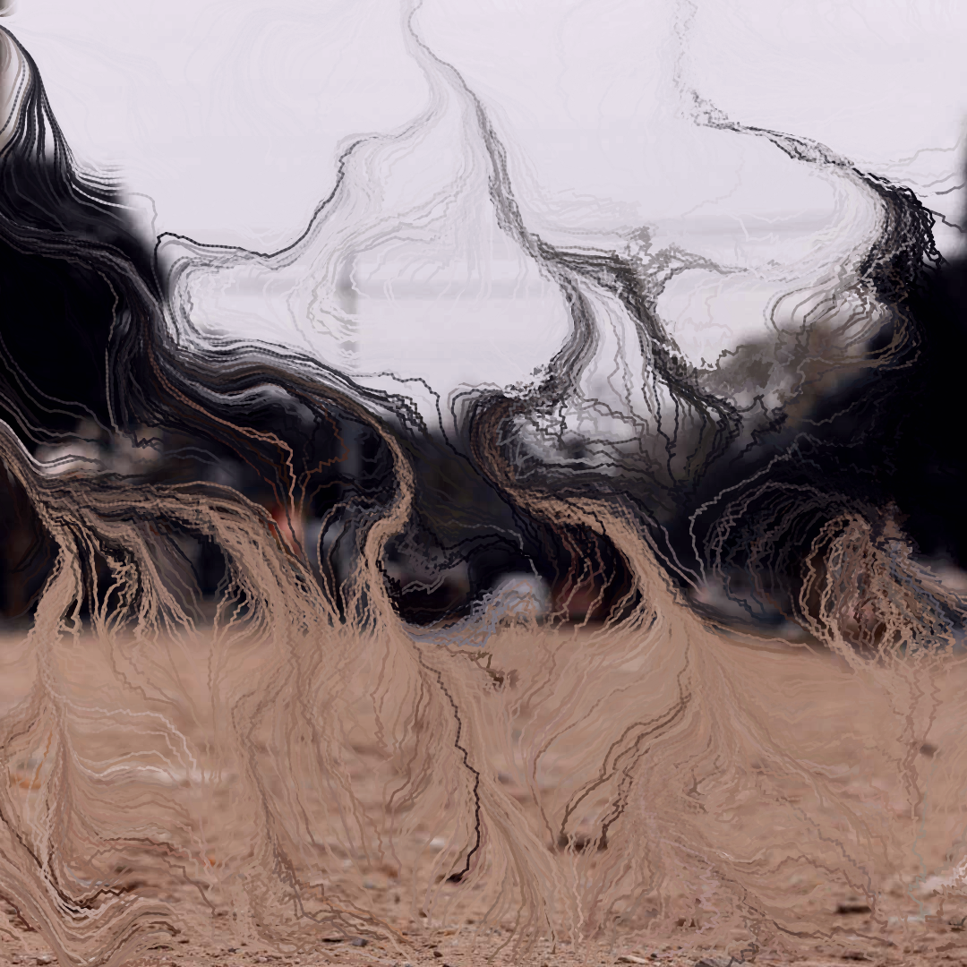 1888 - Dissolve #3 static token preview