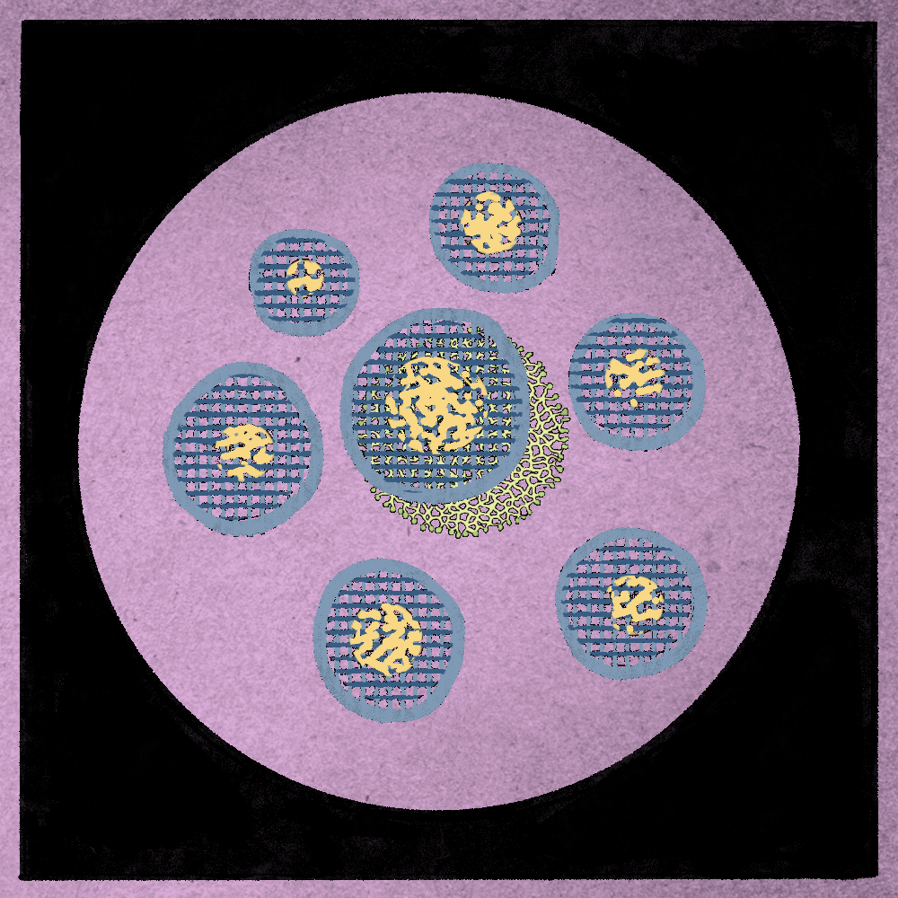 Microbes #19 static token preview