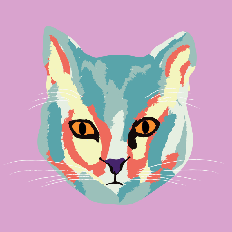 Kitten #6 static token preview