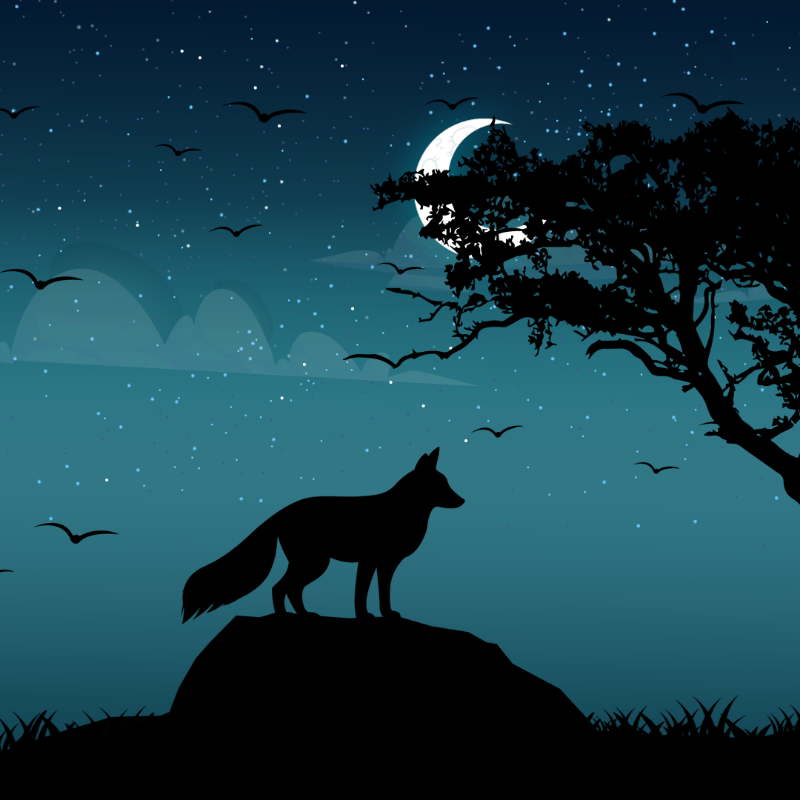 We Care...Fox #2 static token preview