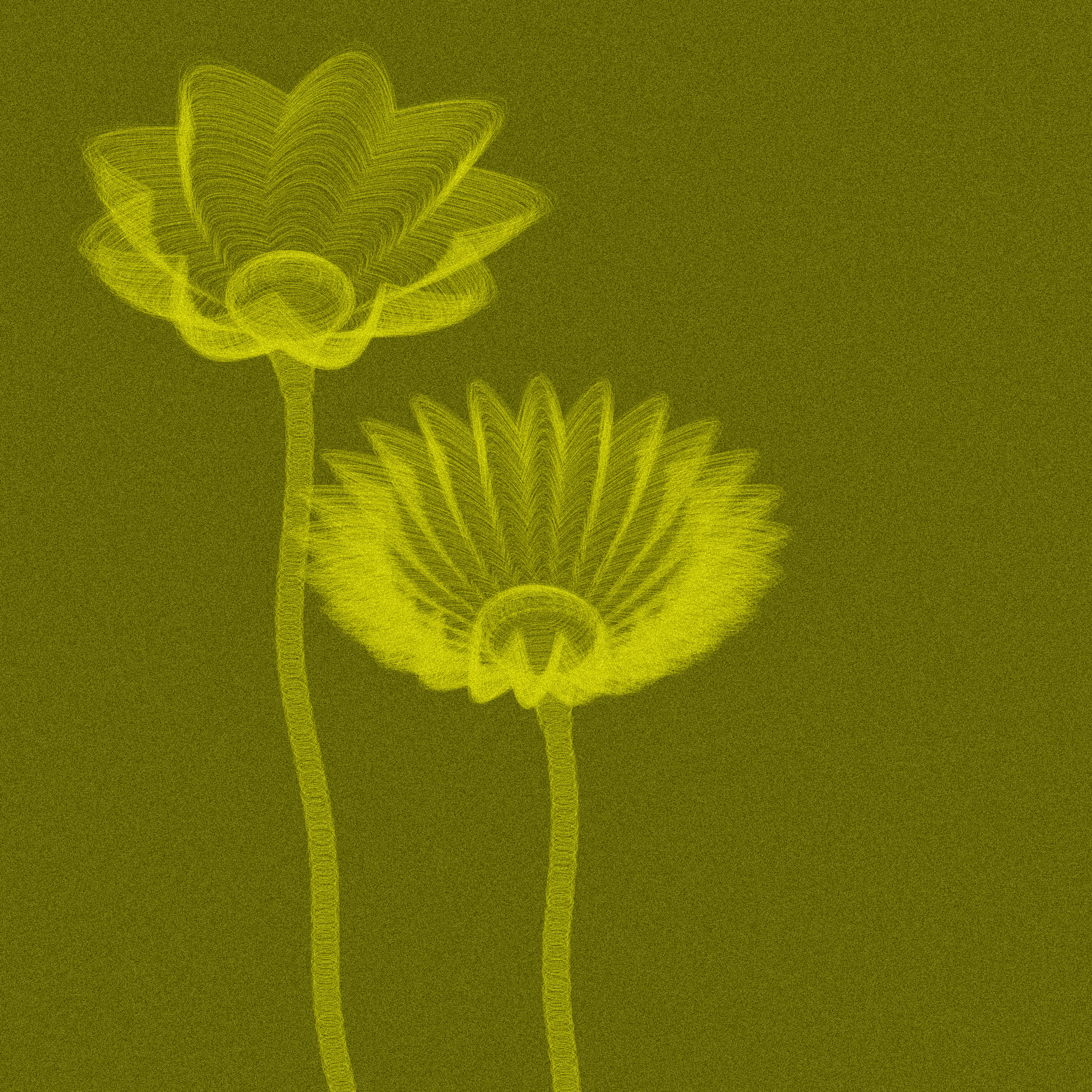 Code Flowers #12 static token preview