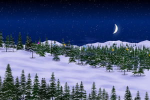 Evergreen Lights project preview
