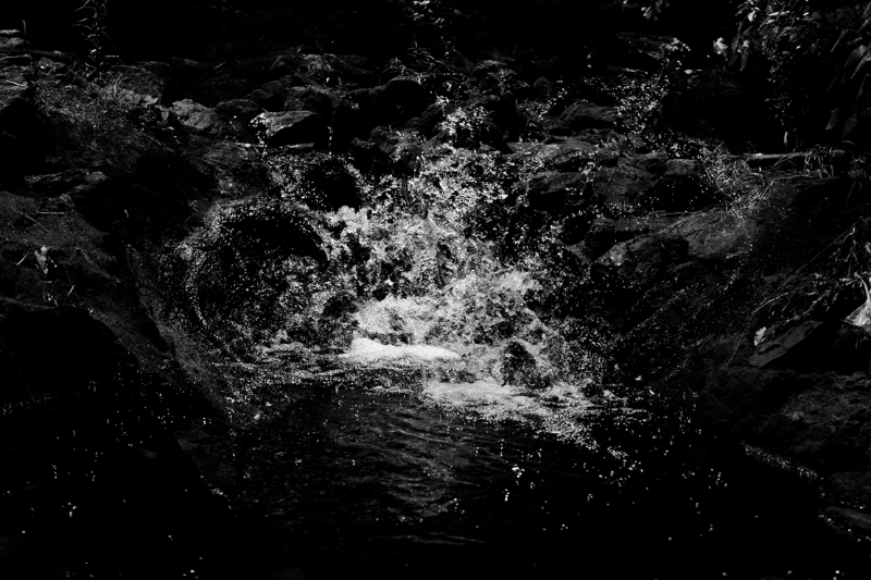 chasing waterfalls #5 static token preview