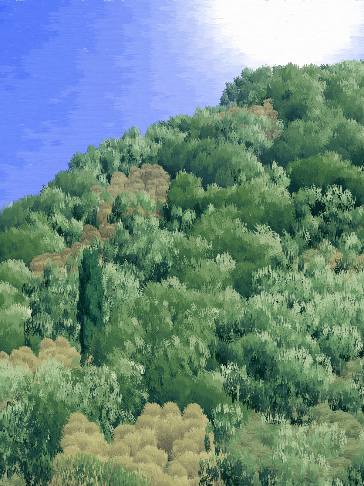 Provence #82 static token preview