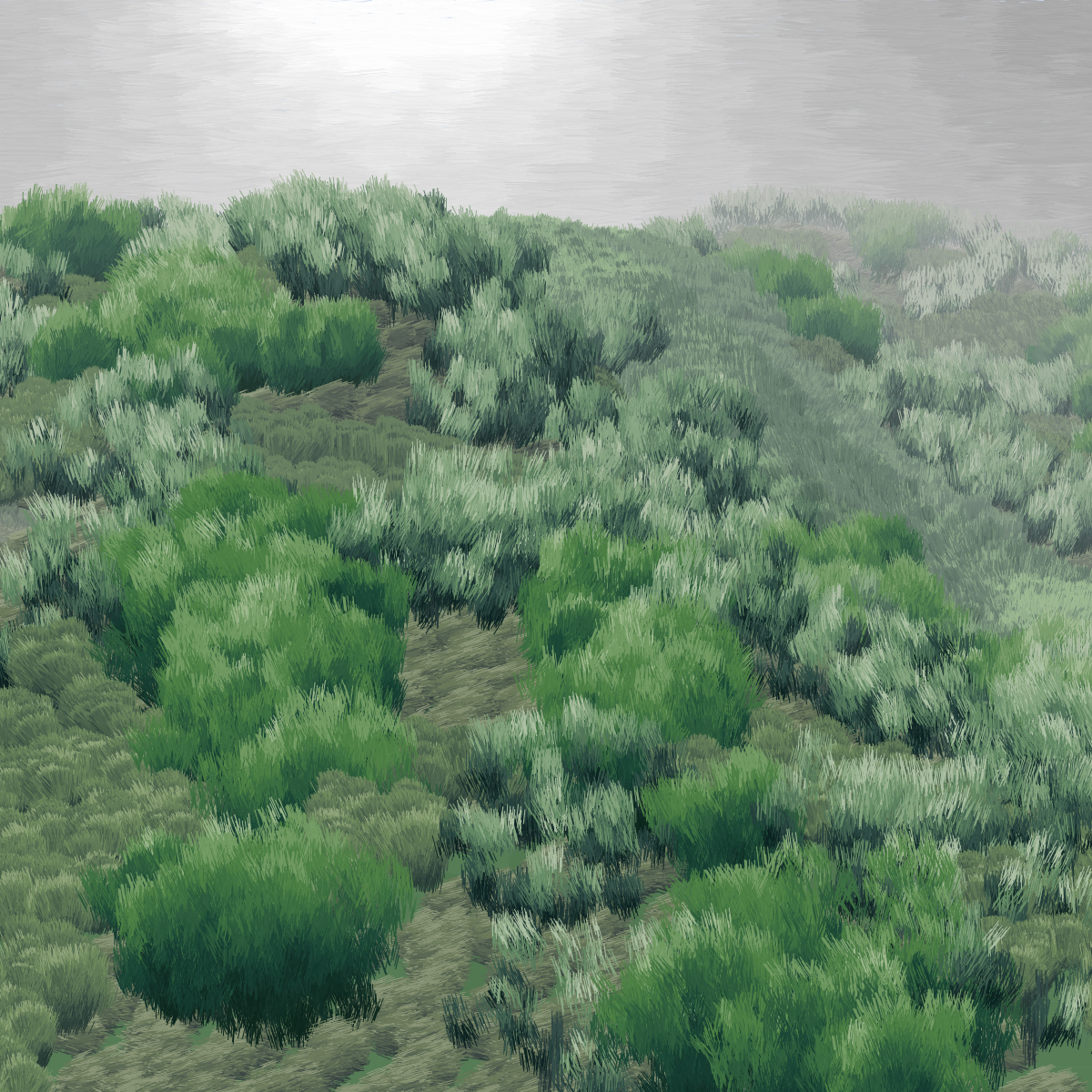 Provence #4 static token preview
