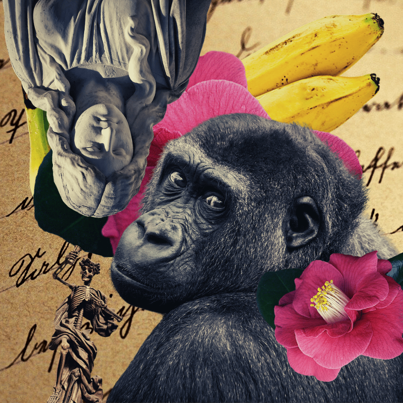 Banana flower #5 static token preview