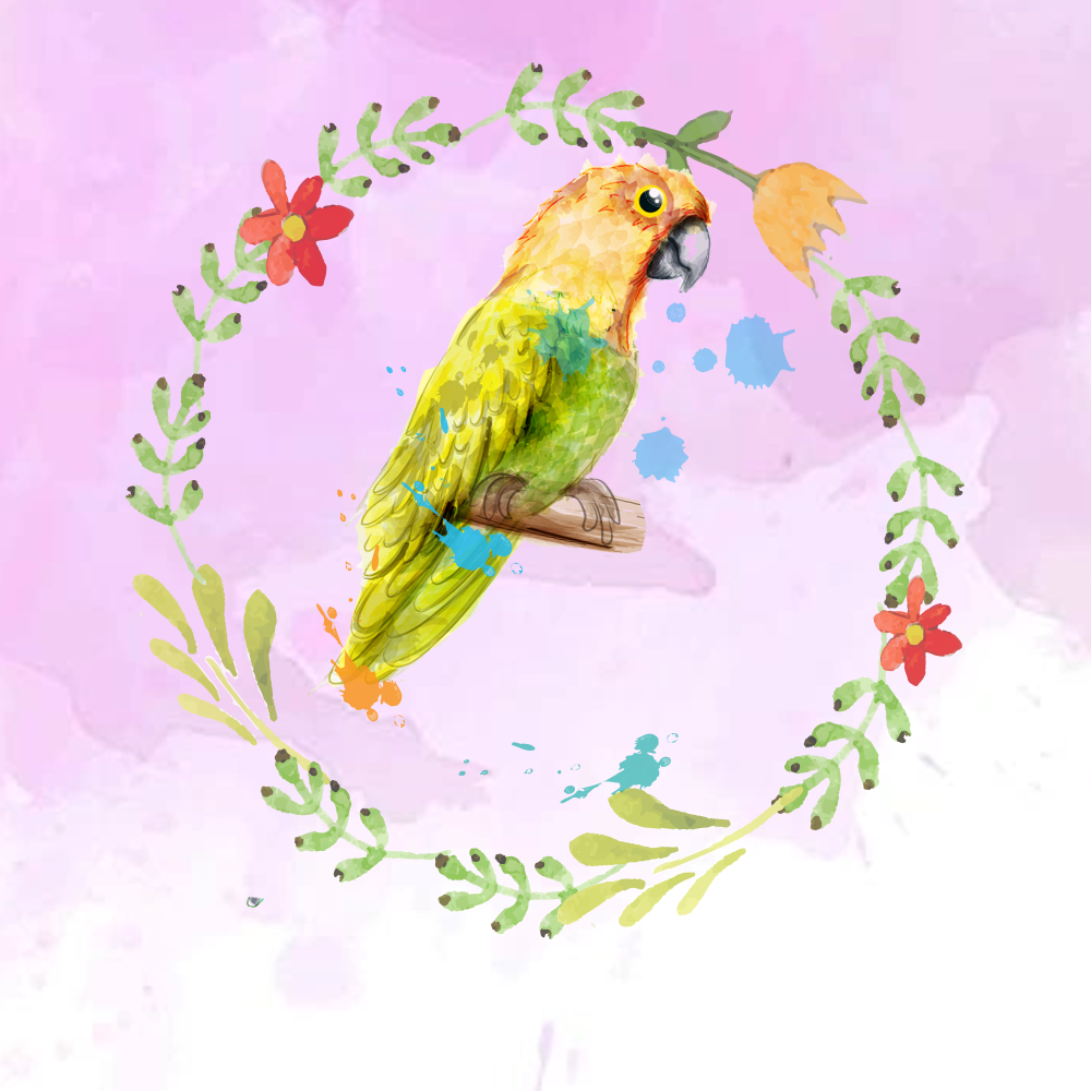 Random Tropical Birds #2 static token preview