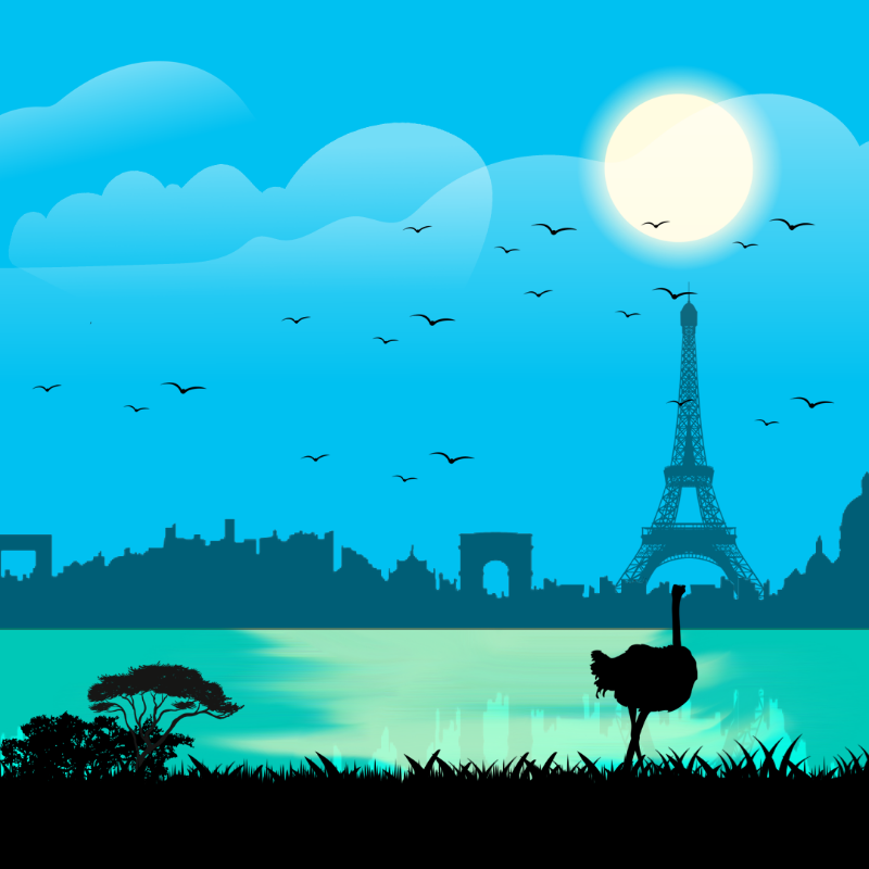 We Care...Ostrich #3 static token preview