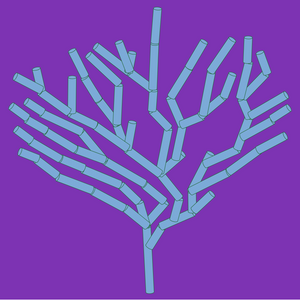Rudimentary Coral project preview