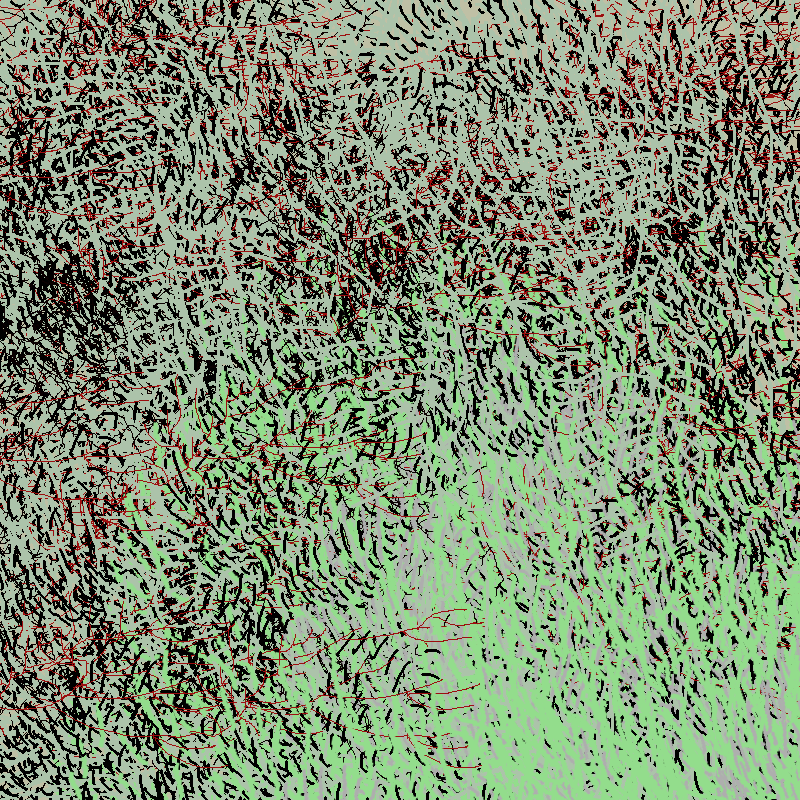 a bird worked on my painting #9 static token preview