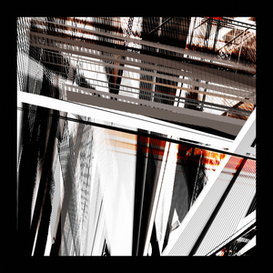 Citisoner project preview