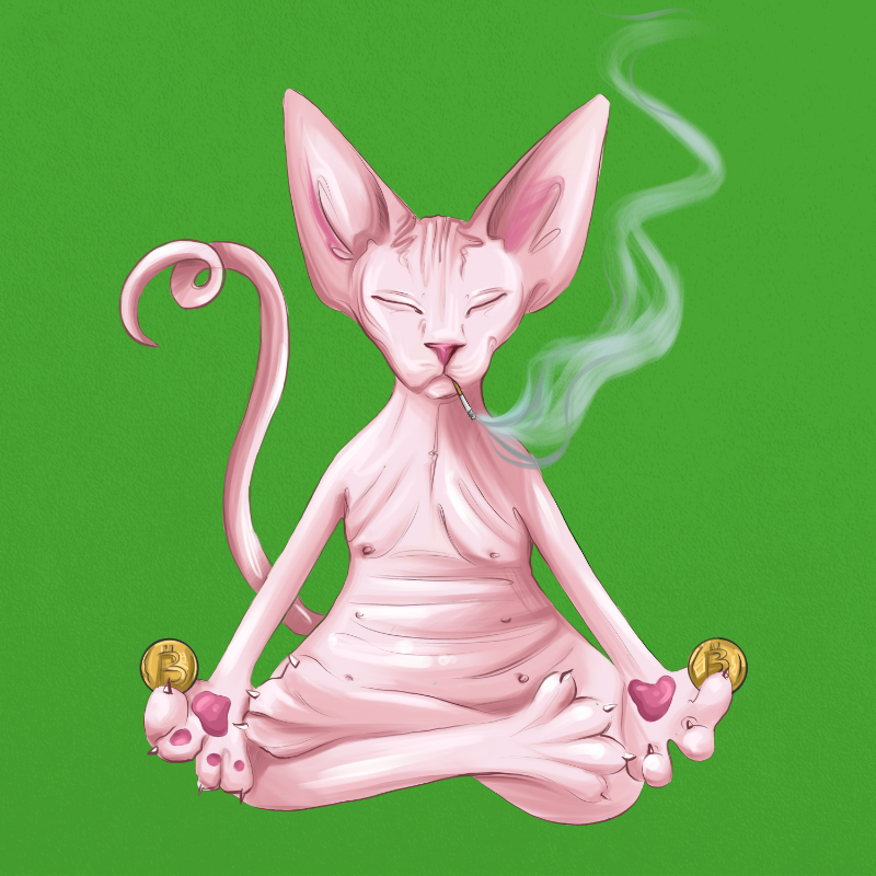 YogaCat #9 static token preview