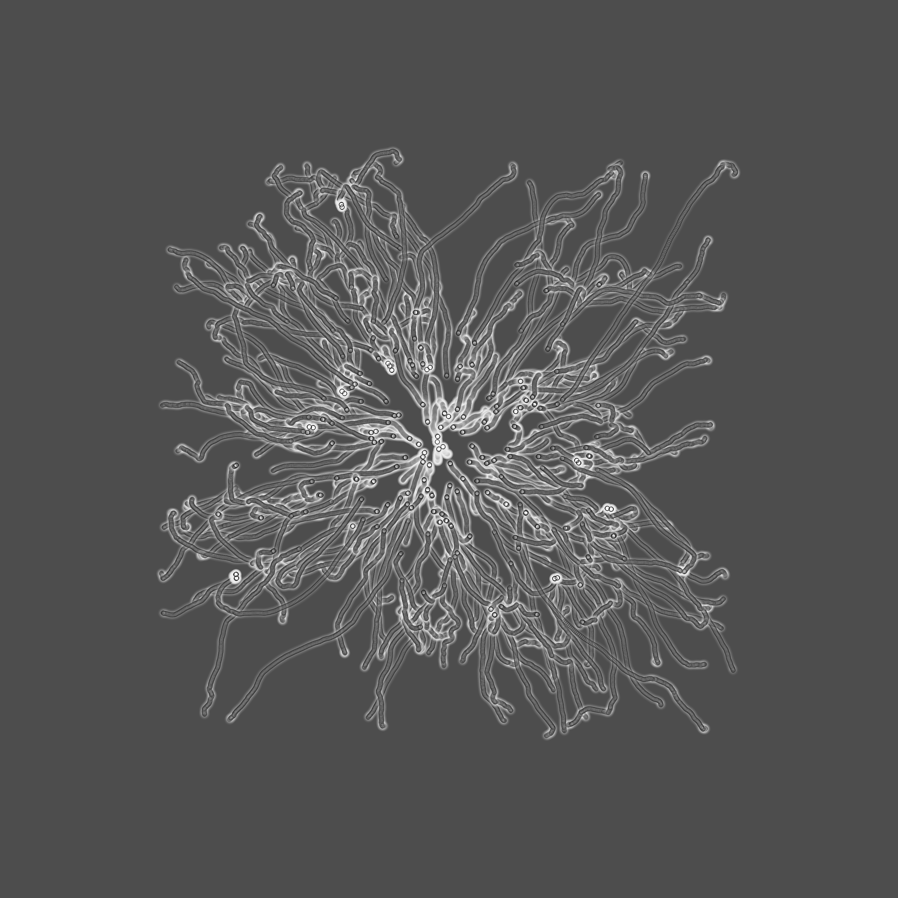 grey fungi wisdom #75 static token preview