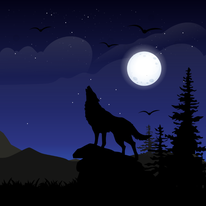 We Care...Wolf #2 static token preview