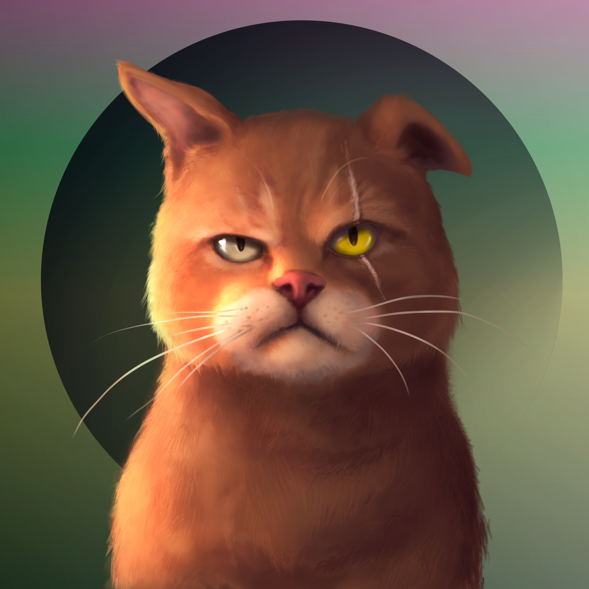 Gangsta Cat #30 static token preview