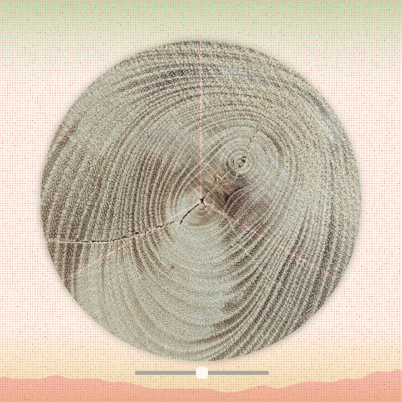 Tree ring waltz #6 static token preview