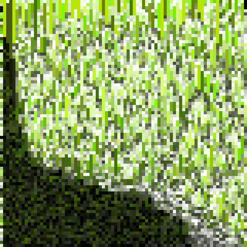 order_Image.output #5 static token preview