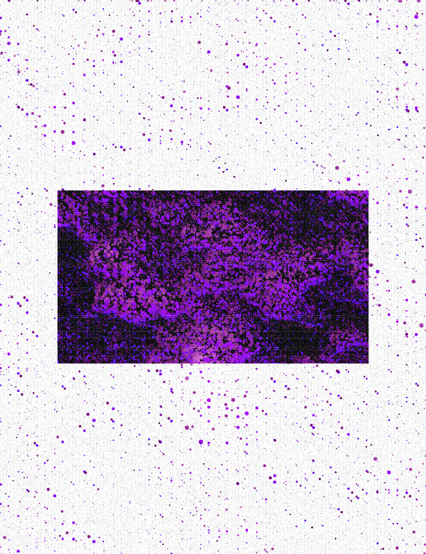 construct//corrupt #36 static token preview