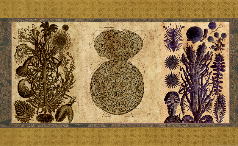 The Emissary Scrolls #2 static token preview
