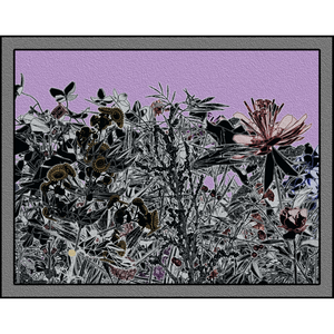 Flower View project preview