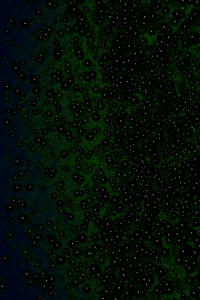 Doppelganger project preview
