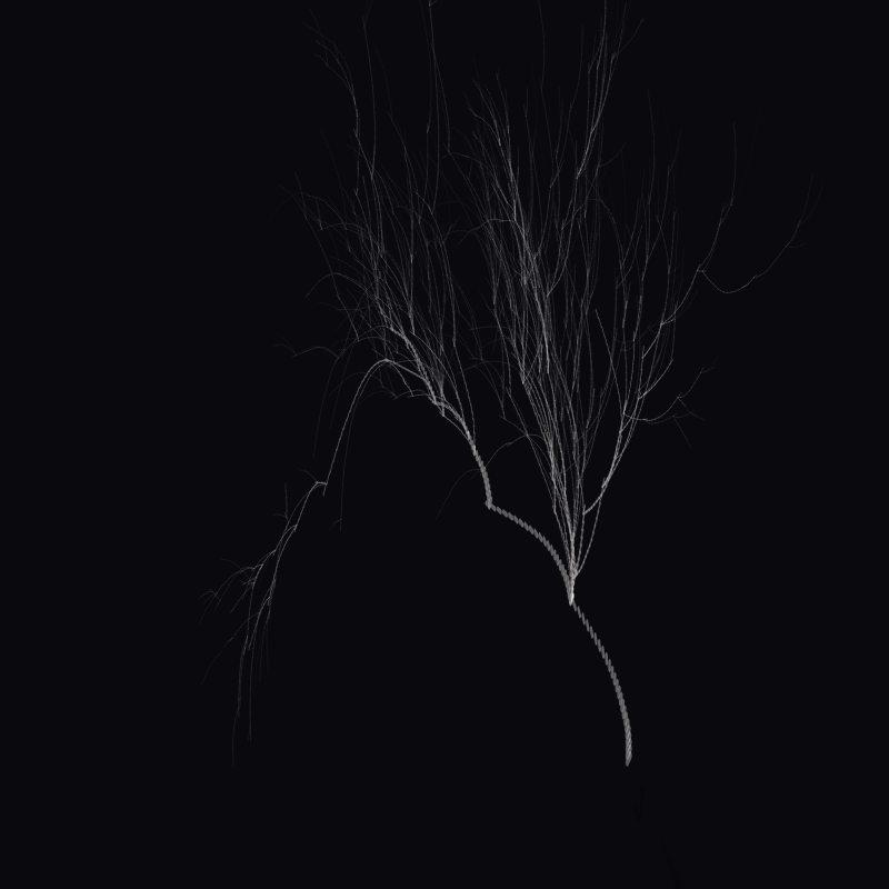plantLife #2 static token preview