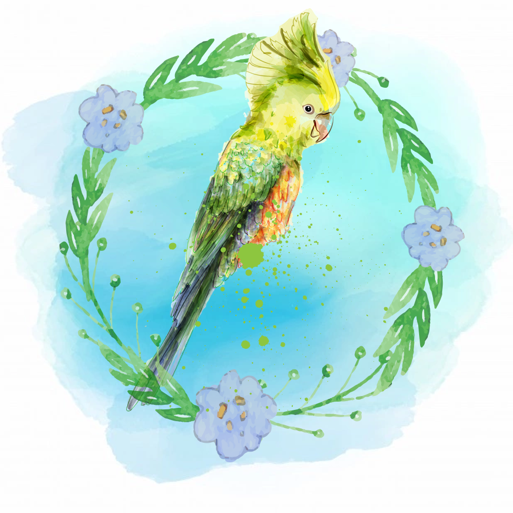 Random Tropical Birds #18 static token preview