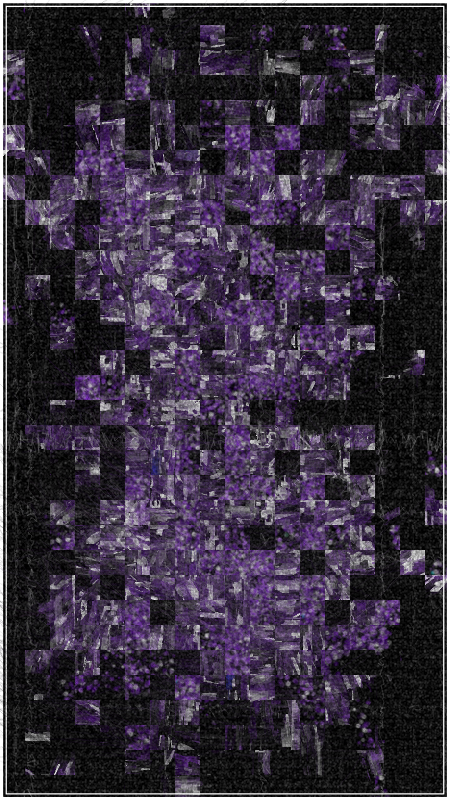 (No)Color #1 static token preview