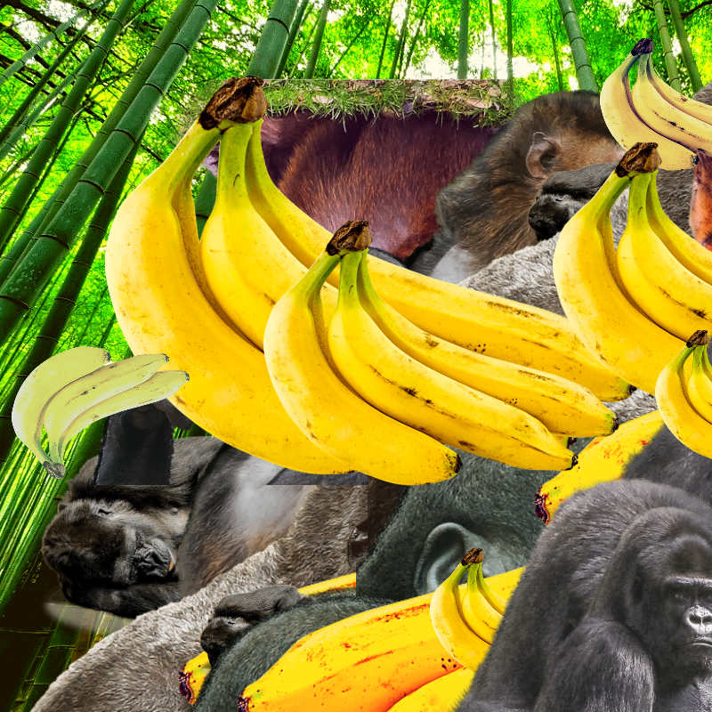 Banana #1 #9 static token preview