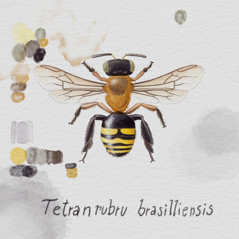 Randomic Brazilian Bees #22 static token preview