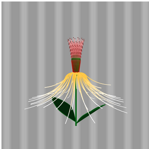 Luteum Flower project preview