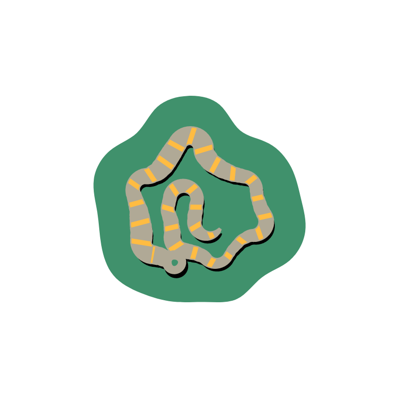 SNAKES! #7 static token preview