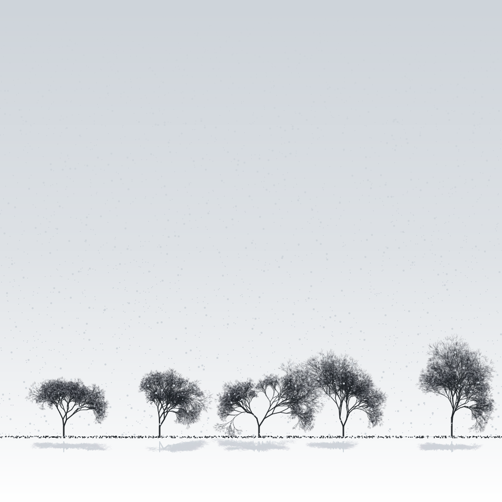 Sakuras in the snow #8 static token preview