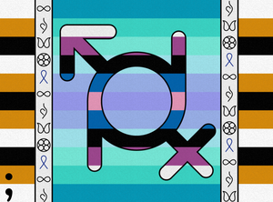 Identity Diversity project preview