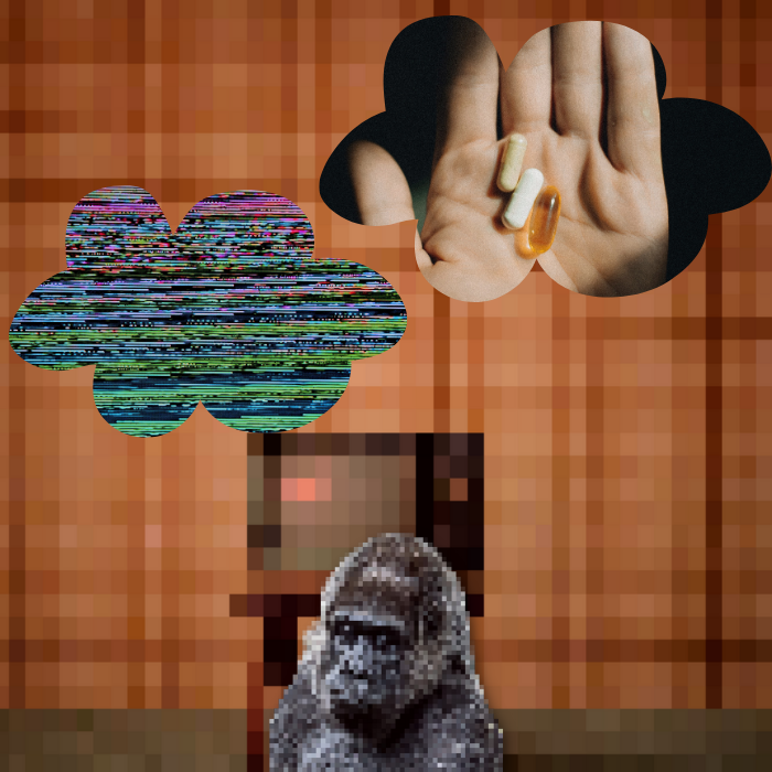 Anxious monkeys #21 static token preview