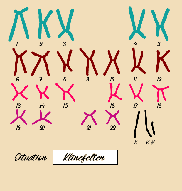 "Karyotype" #16 static token preview