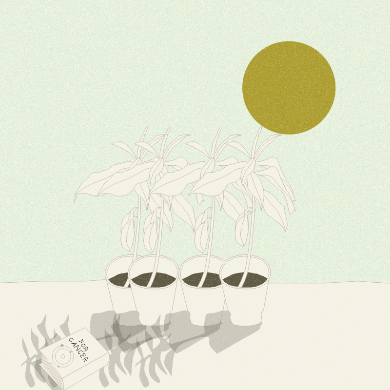 Still Life #12 #12 static token preview