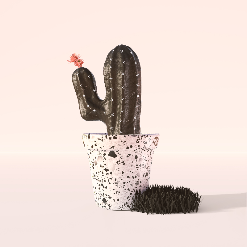 3D Crypto Cacti #10 static token preview